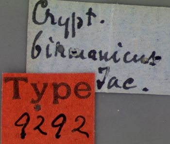 Media type: image; Entomology 9292   Aspect: labels
